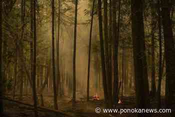 Critical firefighting equipment being moved or stolen, says BC Wildfire Service