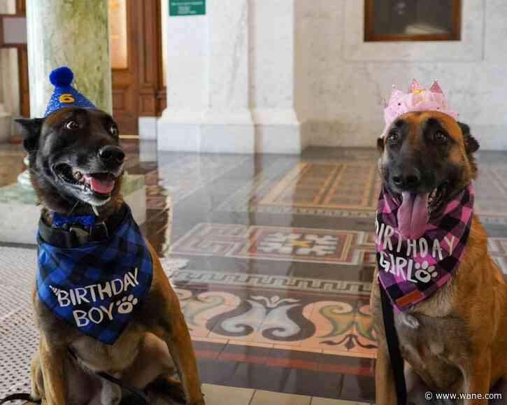 'Birthday Paw-ty:' Allen County Sheriff's Department celebrates 2 K-9 birthdays