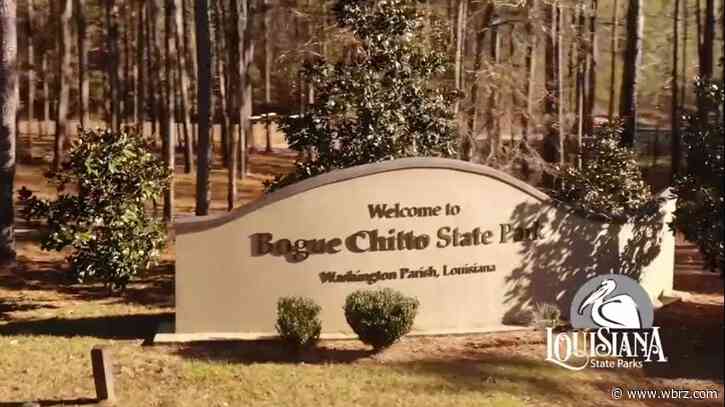 Bogue Chitto State Park evacuated as precautionary measure due to wildfire nearby