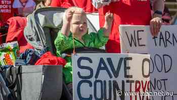Market research mystery for farmers cold called about controversial transmission line