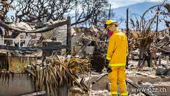 Nur noch Asche und Knochen: wie forensische Anthropologen nach dem Waldbrand auf Hawaii Tote identifizieren