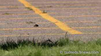 Event being held at DPS school abruptly canceled