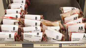 Your Blood Type Could Make You More Vulnerable to COVID-19     - CNET