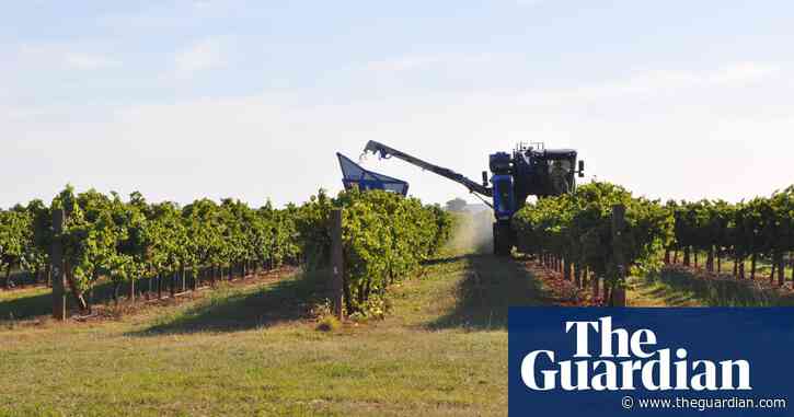 Why does Australia have 2.8bn bottles of excess wine? – podcast