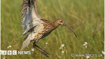 HS2: New flood plain proposed to counter rail project 'threat'