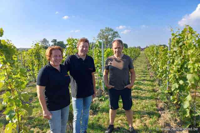 Bestellen bij ’t Ryspoepke kan nog steeds, maar traiteur Nico is nu ook vaak in zijn wijngaard te vinden: “Hopen volgend jaar een eerste keer te oogsten”