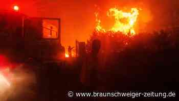 Waldbrände: Forscher erkennt ein Symptom des Klimawandels