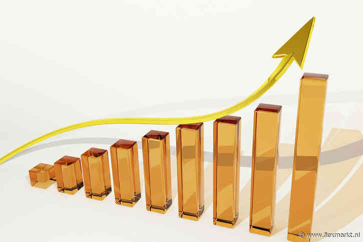 Omzet detacheerders stijgt minder snel, meer mensen in vaste dienst