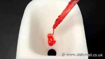 Never clean a toilet again! 3D-printed latrine is so slippery that NOTHING can leave a mark, scientists say