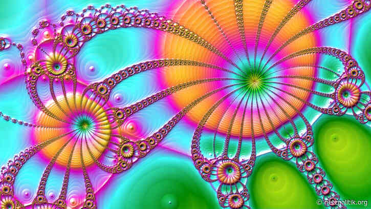 KW 31: Die Woche, als wir Kekse mit Keksen verglichen haben