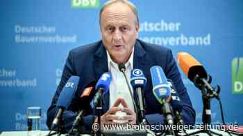 Getreideernte 2023 wird wohl geringer ausfallen