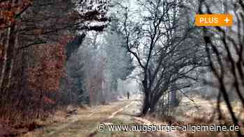 Ein Moor für Neu-Ulm? Bayerns Ministerpräsident Markus Söder soll helfen