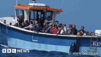 Hundreds flock to Isles of Scilly for rare seabird