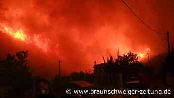 Extreme Brände: Griechen kämpfen an vielen Feuerfronten