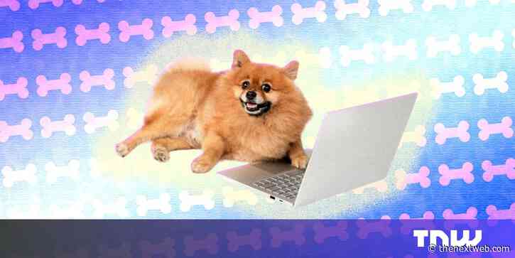 How to apply for a job you’re not fully qualified for