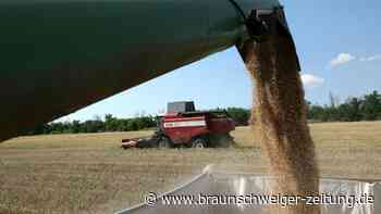 Bauern fordern Export von ukrainischem Getreide nach Afrika