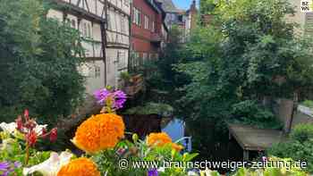 Klein Venedig - und das mitten in Wolfenbüttel
