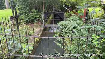 Strom aus Wasserkraft? Einfach zu installieren, aber unrentabel