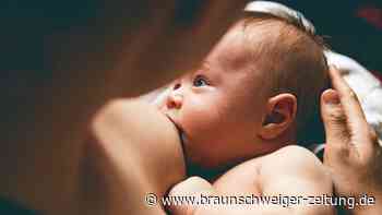 Macht Muttermilch schlau? Studie gibt überraschende Hinweise