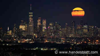 Rating : S&P stuft mehrere mittelgroße US-Banken herab und reduziert Ausblicke