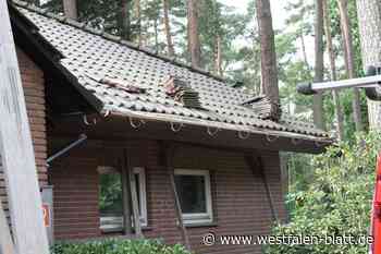 Kupferdiebe auf dem Waldfriedhof Steinhagen