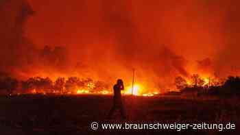 Waldbrände in Griechenland: Mehr als 20 Menschen sterben