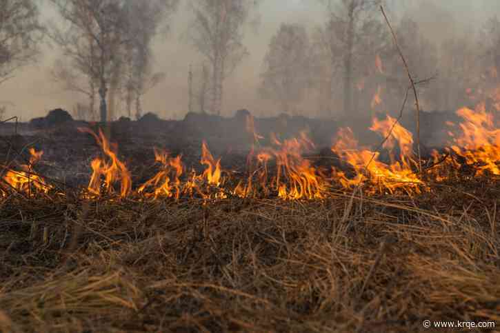New Mexico Forestry Division busy putting out 'the fires you’ll never hear about'