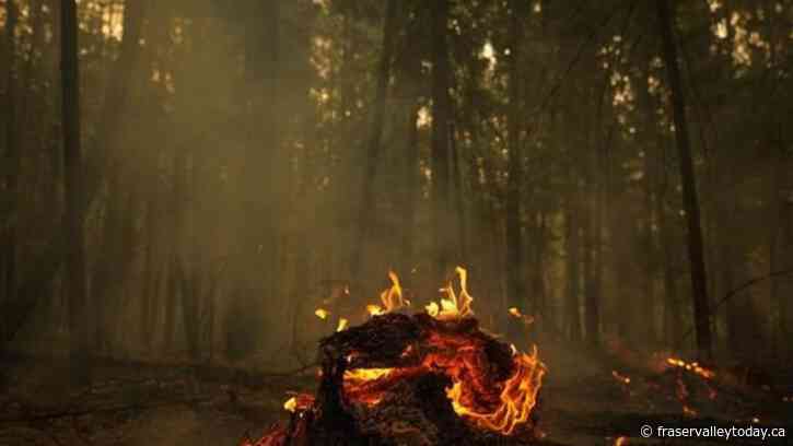 Broaden scope of Canada’s weather alert system to account for wildfires, expert urges