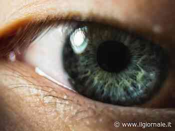 Morbo di Parkinson, gli occhi "predicono" la malattia 7 anni prima