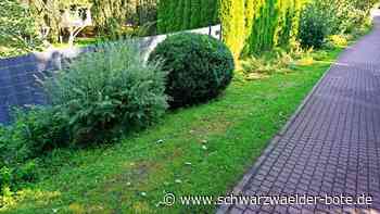 Vandalismus in Schömberg: Bauhof beseitigt Holzgeländer