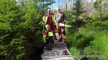 Bohlenstieg auf Pionierweg bei Eckertalsperre erneuert