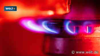 Teures Gas, günstige Wärmepumpe? Plötzlich hat Habeck eine ganz andere Preisprognose