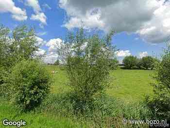 Politie naar de Velterslaan in Abcoude vanwege aanrijding met letsel