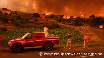 Waldbrand auf Teneriffa: "Gibt Licht am Ende des Tunnels"