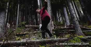 Balancer Depositors Pull Nearly $100M in Crypto After Vulnerability Warning