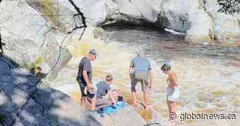 A N.S. man jumped into raging waters to save a woman’s life. He’s being hailed as a hero