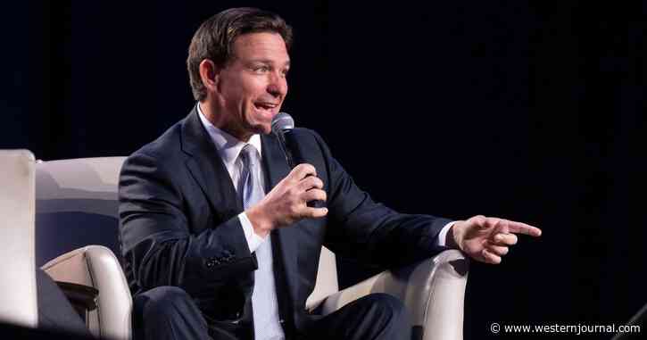 DeSantis Suffering Backlash for 'Listless Vessels' Comment Provides a Fun, Teachable Lesson About Insulting Voters