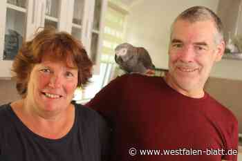 Enger: Lange Suche nach Papagei Pascha in Belke-Steinbeck