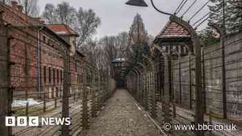 X removes Holocaust-denying post after Auschwitz Museum criticism
