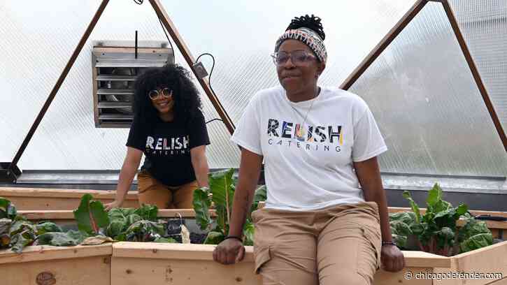 Cultivating Community Through Food