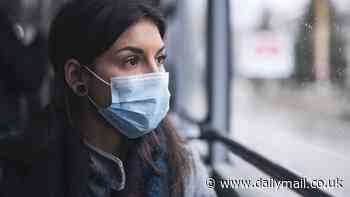 Could ChatGPT save us from the next pandemic? Researchers are using the free AI to simulate future outbreaks