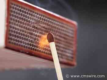 Who Needs Positive Friction in CX Design?