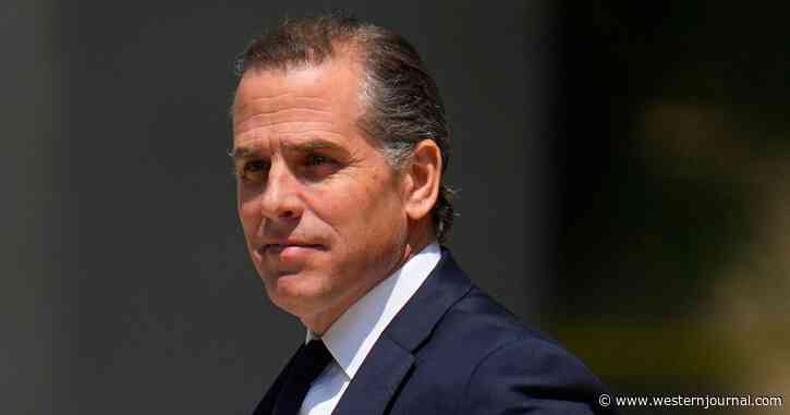 Former Federal Prosecutor 'Disgusted' by Hunter Biden Lawyer: 'That's Obstruction of Justice, That's a Federal Offense!'