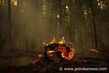 Broaden scope of Canada’s weather alert system to account for wildfires, expert urges