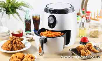 The most common air fryer fails and how to fix them - from dry chicken to undercooked chips