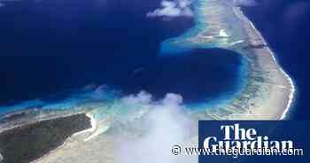 Tortoise shells can yield information on nuclear contamination, scientists find