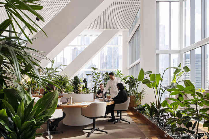 How to boost workplace satisfaction: 5 findings from Hassell research