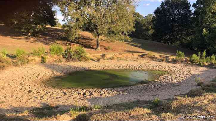 Longtime cattle ranchers fearful of future amid severe drought conditions