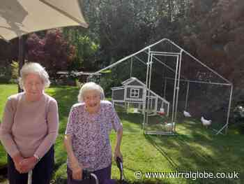 Caldy Manor Care home receives donation of baby chicks