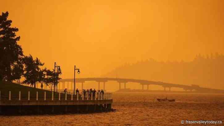 Wildfire smoke can damage the brain long after flames are extinguished, research says